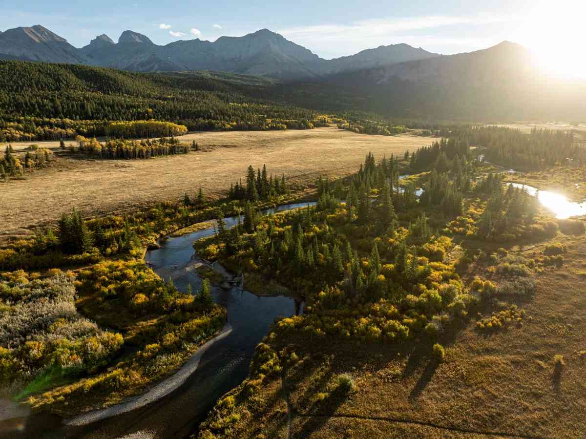 Habitat Preservation Initiatives Supported by the Public Trust for Conservation in Florida